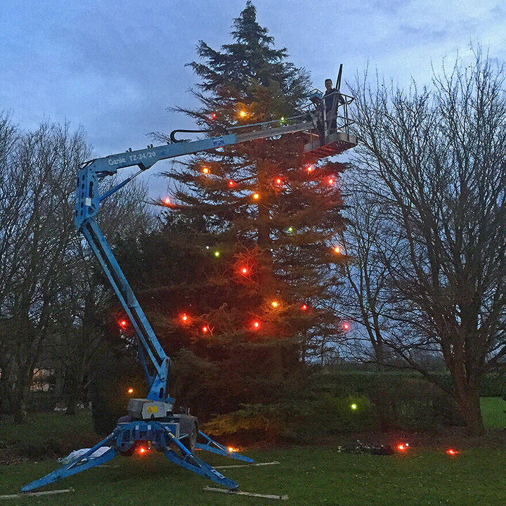 Christmas lights in a garden