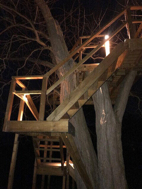 Treehouse lighting, Cambridgeshire